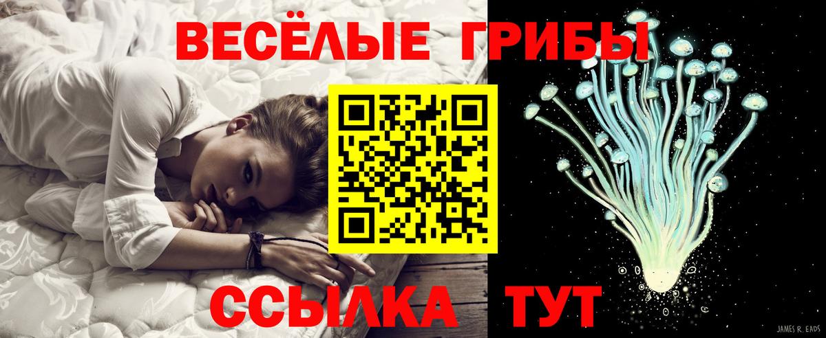 Артём  Псилоцибиновые грибы GOLDEN TEACHER  Вход с VPN  Галлюциногенные грибы прущие грибы 